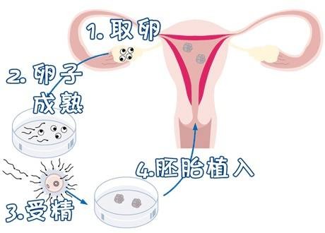 同仁堂国医馆